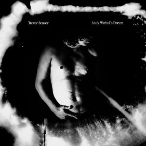 Trevor Sensor Andy Warhol's Dream album cover